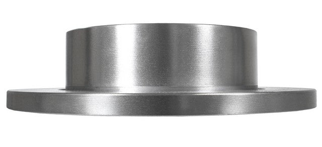 Disc Brake Rotor AmeriBRAKES 491325