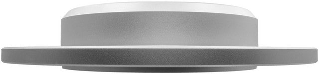 Disc Brake Rotor AmeriBRAKES 591385