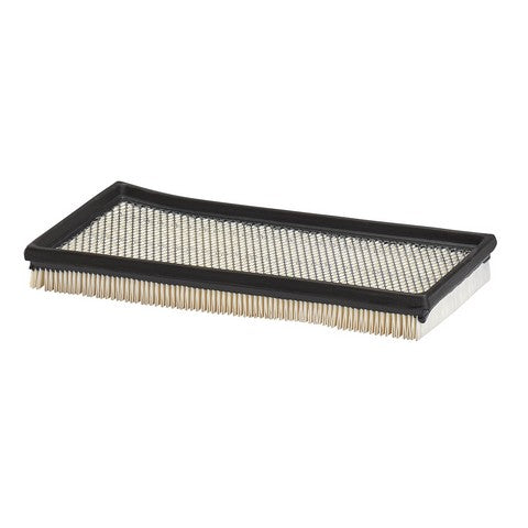 Air Filter PurolatorONE A25374