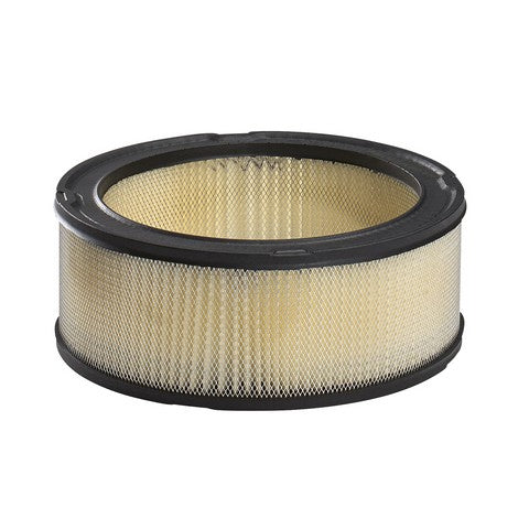 Air Filter PurolatorONE A30057