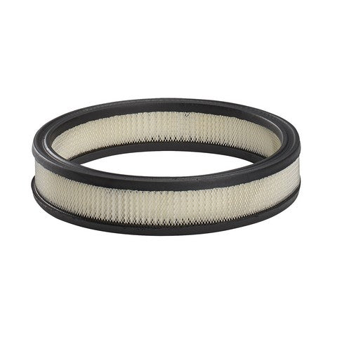 Air Filter PurolatorONE A30059