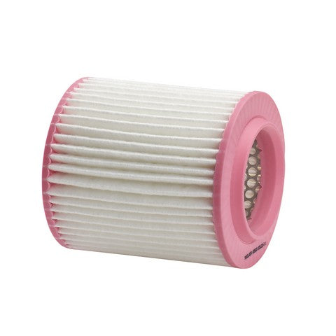 Air Filter PurolatorONE A35629