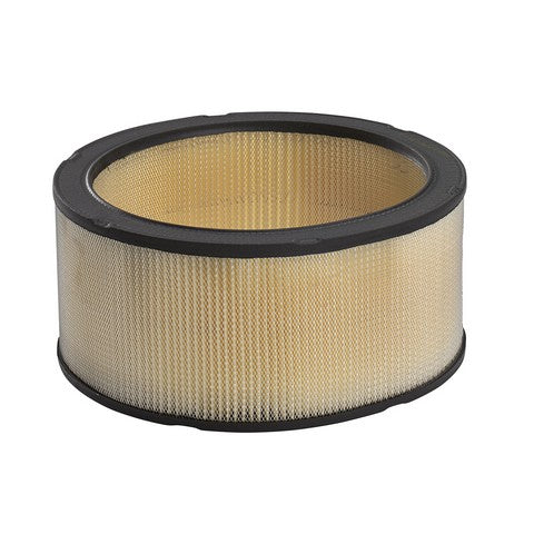 Air Filter PurolatorONE A53384