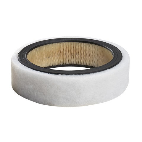 Air Filter PurolatorONE A63180